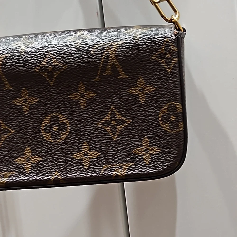 Louis Vuitton Felicie Strap and Go